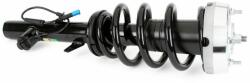 Arnott amortizor Arnott SK-3605 (SK-3605) - automobilus