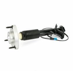 Arnott amortizor Arnott SK-3817 (SK-3817) - automobilus