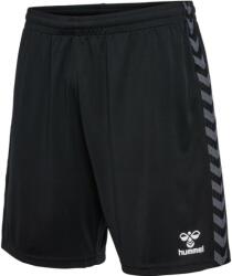 Hummel Sorturi Hummel HMLAUTHENTIC PL SHORTS KIDS 219971-2001 Marime 152