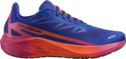 Salomon AERO BLAZE 2 ISD Futócipő l47464600 Méret 44 EU