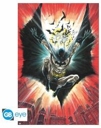 Abysse Corp DC COMICS poszter "Batman Warner 100th" (91.5x61) (GBYDCO405)