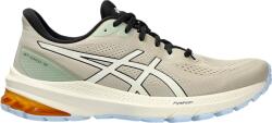 ASICS GT-1000 12 TR Terepfutó cipők 1011b761-250 Méret 43, 5 EU - top4running