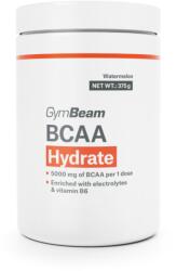 GymBeam BCAA Hydrate 375 g blue raspberry