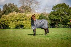 Horseware Ireland Amigo Bravo 12 Plus Turnout Lite Shadow/Navy & Rose - 125 cm