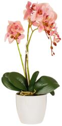  Gyönyörű élethű orchidea 52 cm (1217036)