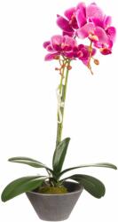Művirág cserepes orchidea lila 48 cm (1183053)