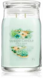 Yankee Candle Aloe & Agave lumânare parfumată 567 g