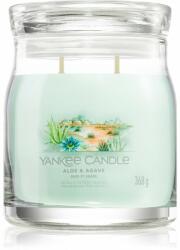 Yankee Candle Aloe & Agave lumânare parfumată 368 g