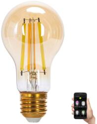 Aigostar B. V. LED Izzó FILAMENT A60 E27/6W/230V 2700-6500K - Aigostar S10300IG6 (AI0599)