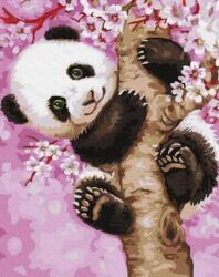 Twoje Hobby Pictura dupa numere - Panda draguta 40x50 cm (480513)