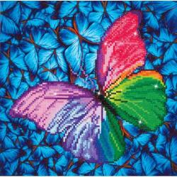 pictură cu diamante imagine, fluture de culoare (DD5.015)