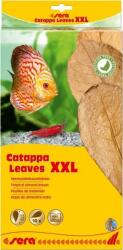 Sera frunze de migdal - Catappa Leaves XXL, 32 cm, 10 buc/pachet (SE-32275)