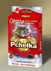 LAB Pchelka Gulerul P / purici. CAT RING - VAT008255 (VAT008255)