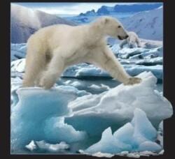 Worth-Keeping Magnet care merită păstrat Ursul polar 3D care sărește (182520) (182520)