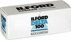 Ilford Delta 100 1 120 (HAR1743399)