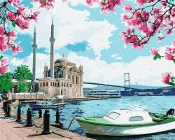 Pictură după numere - Bright Istanbul 40x50 (488687)