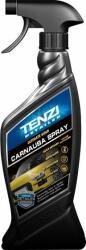 TENZI Spray cu ceara carnauba, Tenzi, 600 ml (TZ D 41 0698)