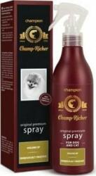 Dermapharm Spray pentru volum Champ Richer 250 ml (VAT011300)