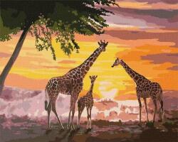 Ideyka Pictură după numere - Familia de girafe 40x50cm (KHO4353)