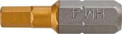 GRAPHITE Vârfuri de șurubelniță din grafit HEX3x25mm 2 bucăți - 57H967 (57H967)