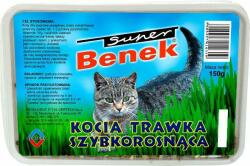 Super Benek Iarbă pentru pisici Super Benek 150 G (00377)