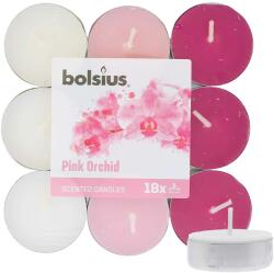 Bolsius Scented Tealights Orchid 4h lumânare de ceai 18 buc