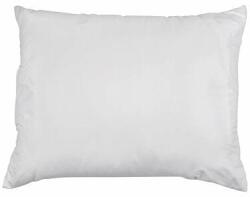 Vlnka Pernă cu Aloe vera 90 x 70 (9-00033)