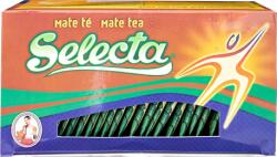 Selecta Energy teás zacskóban 25x3g (7840078000723)