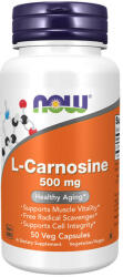 NOW L-Carnosine 500 mg (50 Capsule Vegetale)