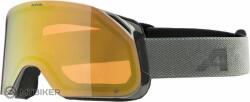 Alpina BLACKCOMB Q-LITE szemüveg, holdszürke/matt arany