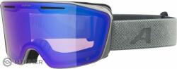 Alpina NENDAZ szemüveg, holdszürke/quatroflex kék