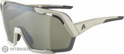 Alpina ROCKET BOLD Q-LITE szemüveg, hideg szürke matt