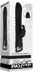 EVOLVED Rapid Rabbit Black