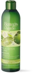 Bottega Verde Apple& Lime sampon 250ml