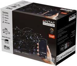 Entac kültéri karácsonyi smart led fényfüzér hideg fehér Tuya app 9m (ECL-120-TY-CW)