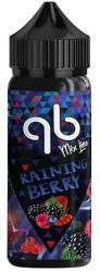 QB Mix Line Lichid Tigara Electronica QB Mix Line - RAINING BERRY 100 ml (QB100RB)