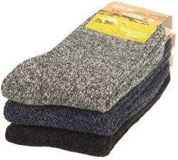TifanTEX Șosete oaie de damă, Looken W9250A, 3 perechi (Șosete calde de) (0709F2)