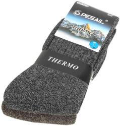 TifanTEX Șosete pentru bărbați, Thermo Pesail, 2 perechi (Șosete pentru) (0721E5)