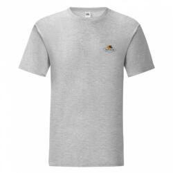 Fruit of the Loom Vintage Collection Vintage T Small Logo Print (167011237)