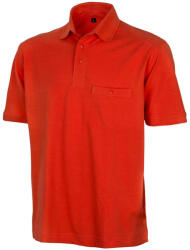 Result Work-Guard Apex Polo Shirt (500334104)
