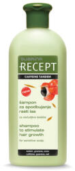 Subrina Recept sampon koffeines 400ml - fodrasznagyker