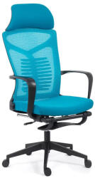 Chairs ON Scaun ergonomic cu spatar rabatabil si suport pentru picioare-albastru