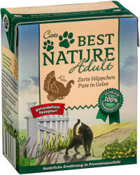  Best Nature Best Nature Pachet economic Adult Cat 16 x 370 g - Curcan în gelatină