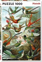 Piatnik Puzzle Haeckel colibri, Piatnik, 1000 piese, 67, 5 x 44, 1 cm, Multicolor (373974)