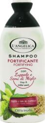 L'Angelica Șampon de întărire care conține mei și hamei (250ml)