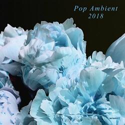 Various Pop Ambient. . -download-