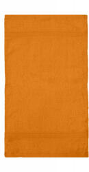 SG Rhine Guest Towel 30x50 cm (009644130)