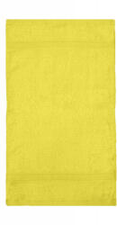SG Rhine Guest Towel 30x50 cm (009646030)