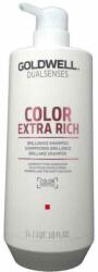 Goldwell Sampon Goldwell Dualsenses Color Extra Rich, Par vopsit, 1000ml