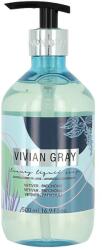 VIVIAN GRAY Modern Pastel Vetiver & Patchouli, Unisex, Sapun lichid, 500 ml